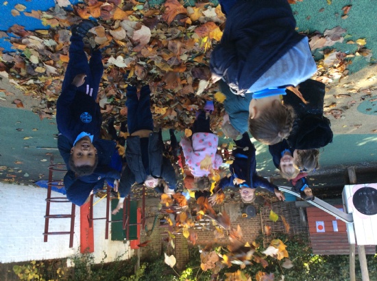 It's Autumn in the Nursery!