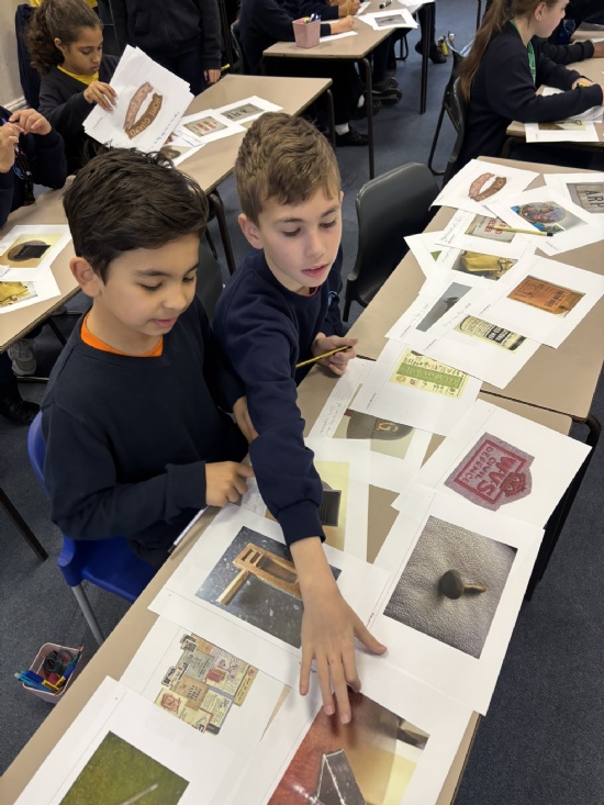 History in Snowy Owls: The Curator's Dilemma