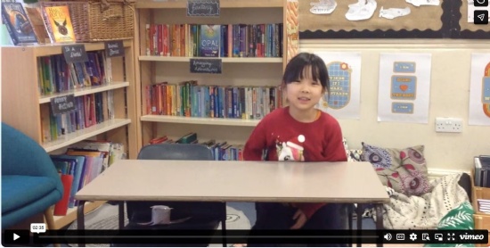 Computing in Snowy Owls: Making Videos