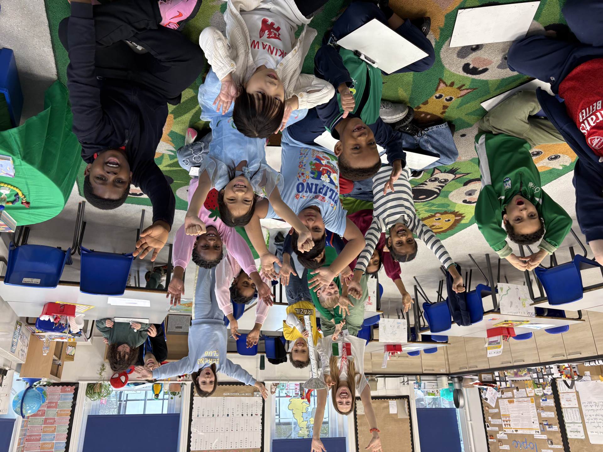 Number Day in Macaws